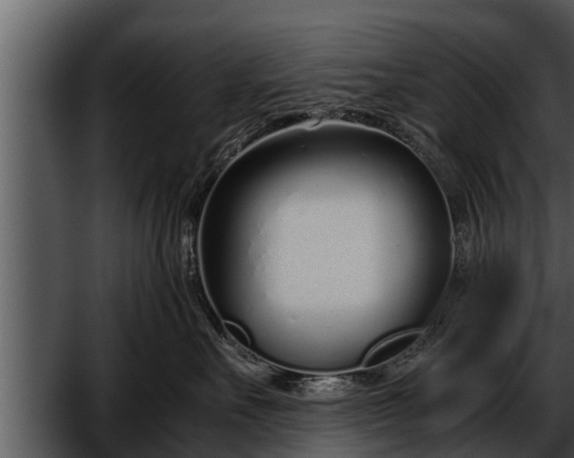 X0000052600527200507160014