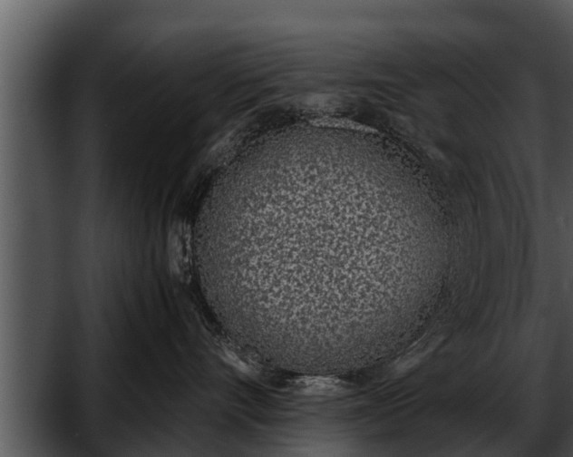 X0000052600528200507160014