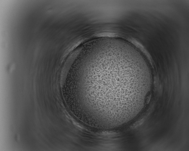 X0000052600529200507160013