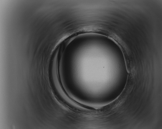 X0000052600530200507160013