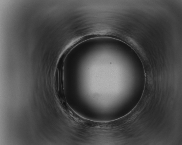 X0000052600532200507160013