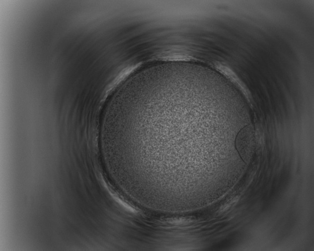 X0000052600533200507160013