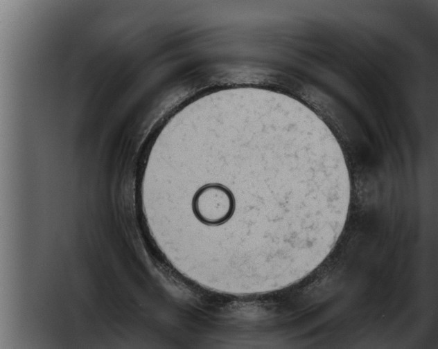 X0000052600534200507160013