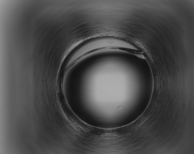 X0000052600536200507160013