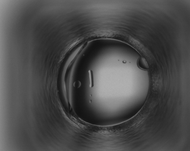 X0000052600538200507160013