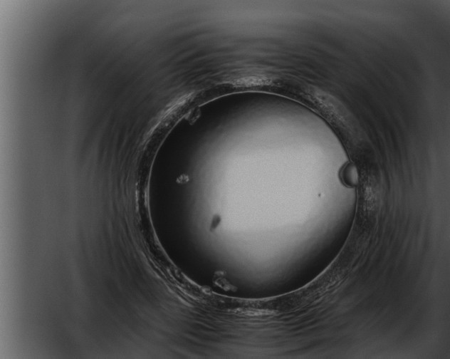 X0000052600539200507160013