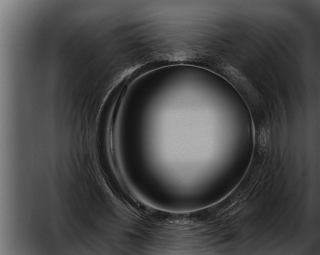 X0000052600540200507160013