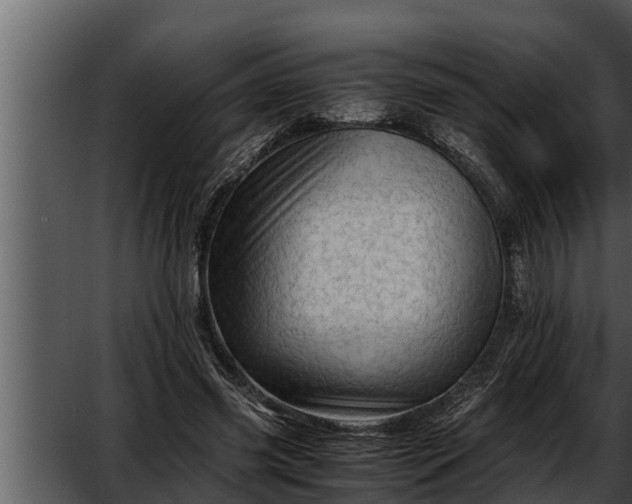 X0000052600541200507160013