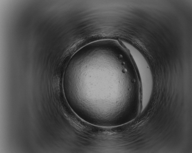 X0000052600542200507160013