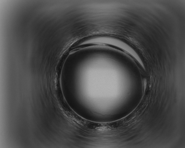 X0000052600544200507160013