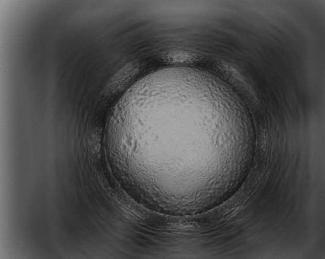 X0000052600545200507160014