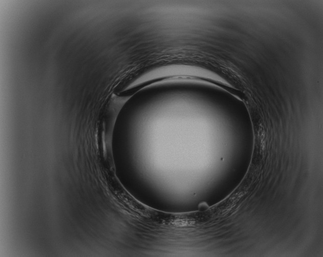 X0000052600546200507160014