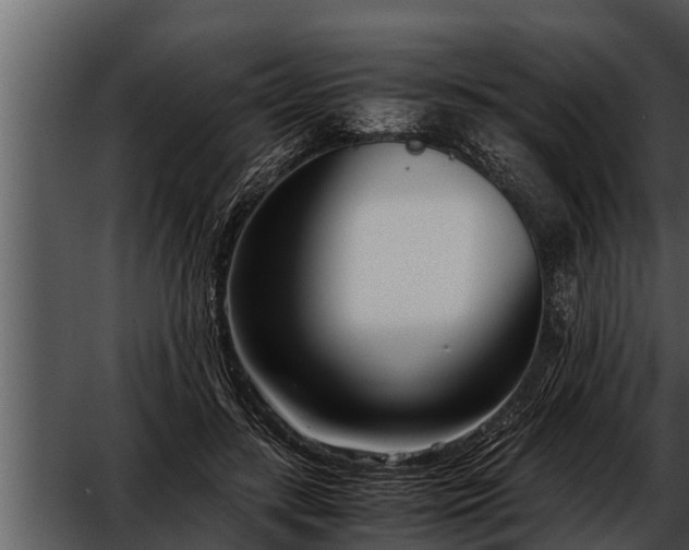 X0000052600547200507160014