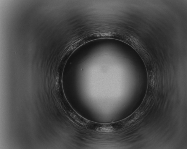 X0000052600548200507160014