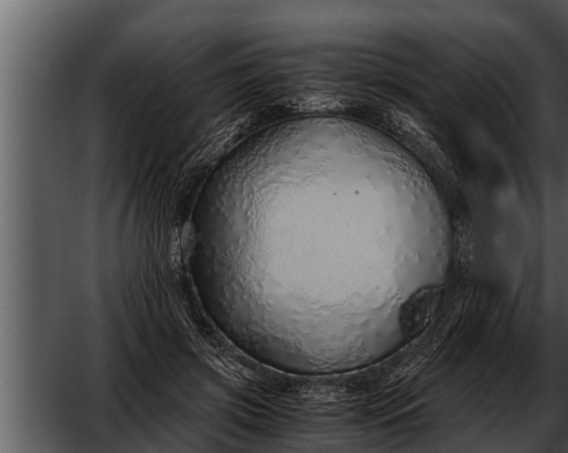 X0000052600549200507160014