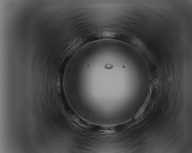 X0000052600552200507160014