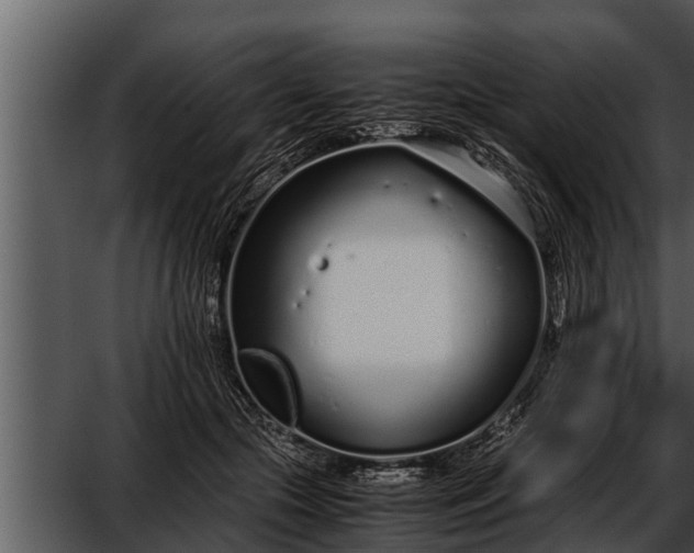 X0000052600553200507160014