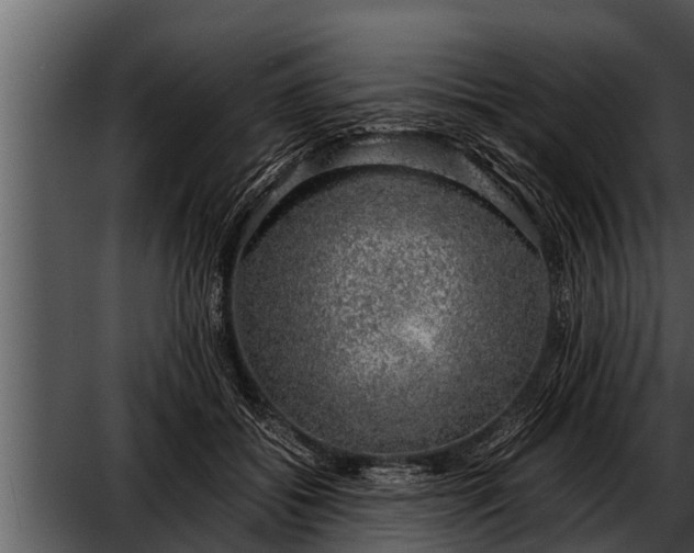 X0000052600556200507160014