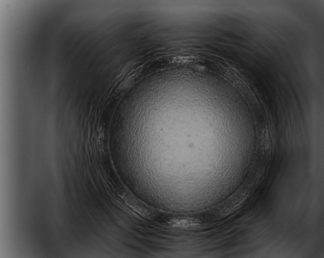 X0000052600557200507160014