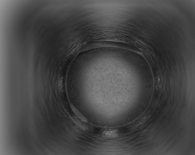 X0000052600560200507160014