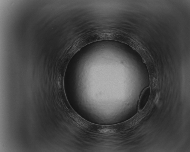 X0000052600561200507160014