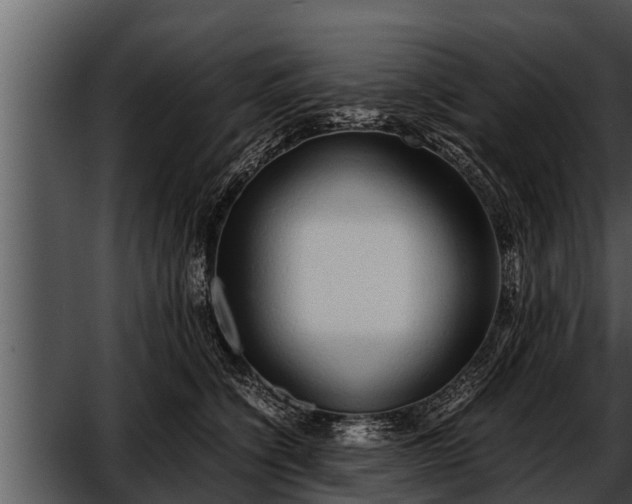 X0000052600564200507160014