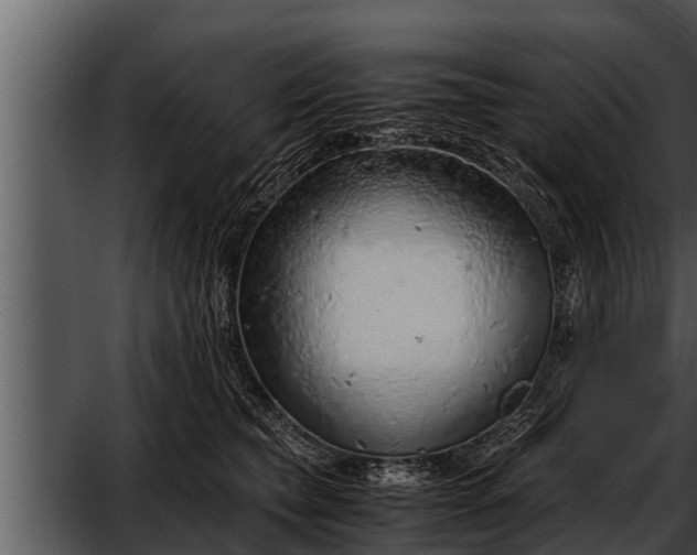 X0000052600565200507160014