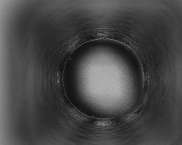 X0000052600567200507160014