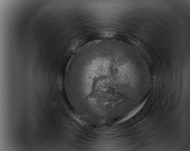 X0000052600568200507160014