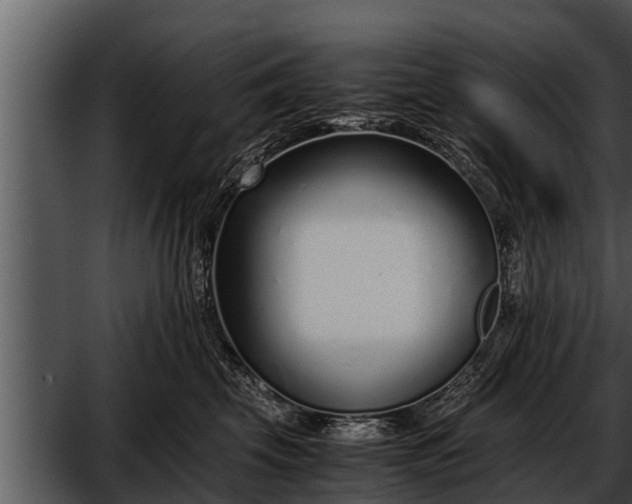 X0000052600569200507160014