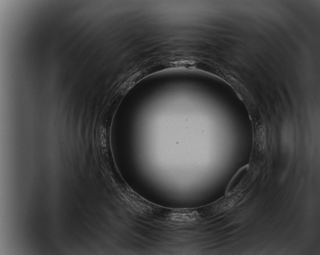 X0000052600571200507160014