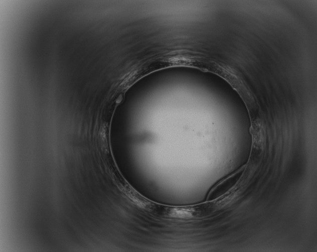 X0000052600573200507160014