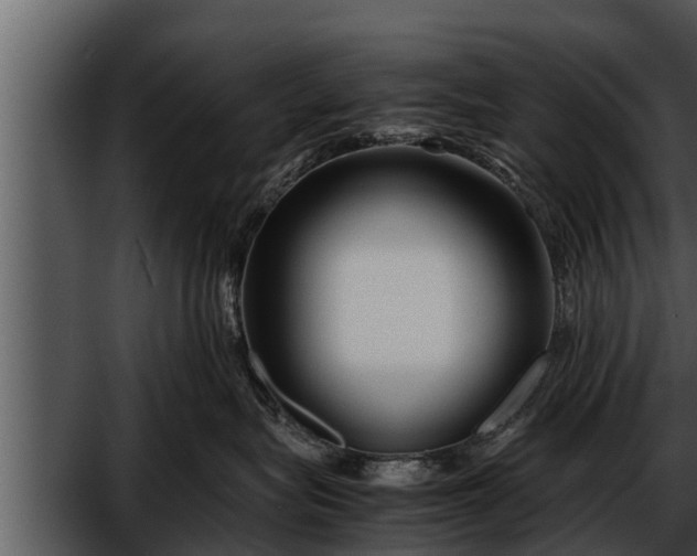 X0000052600575200507160014