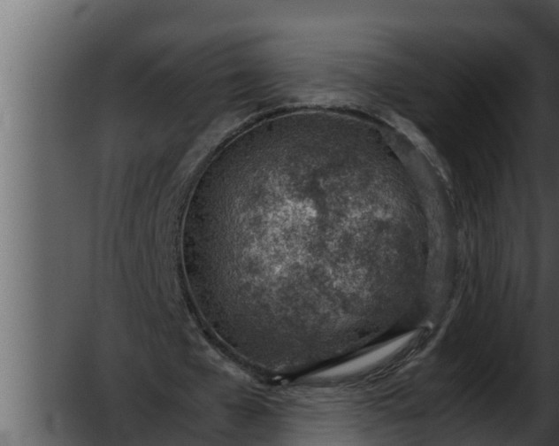 X0000052600577200507160013