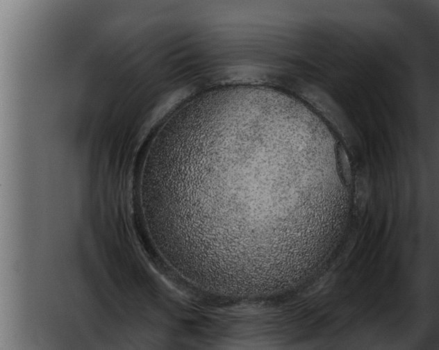 X0000052600578200507160013