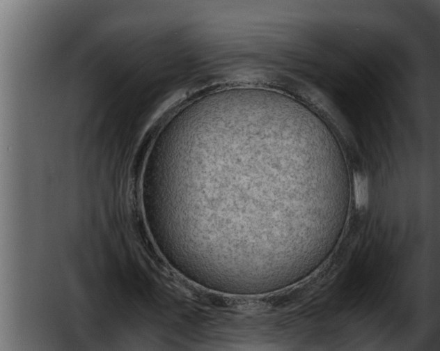 X0000052600579200507160013