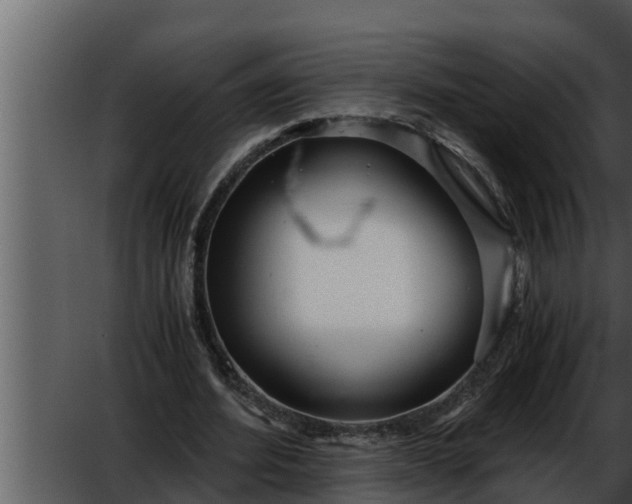 X0000052600580200507160013