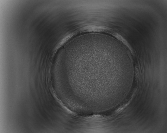 X0000052600581200507160013