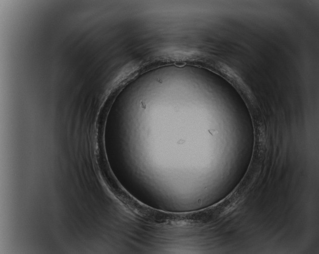 X0000052600582200507160013