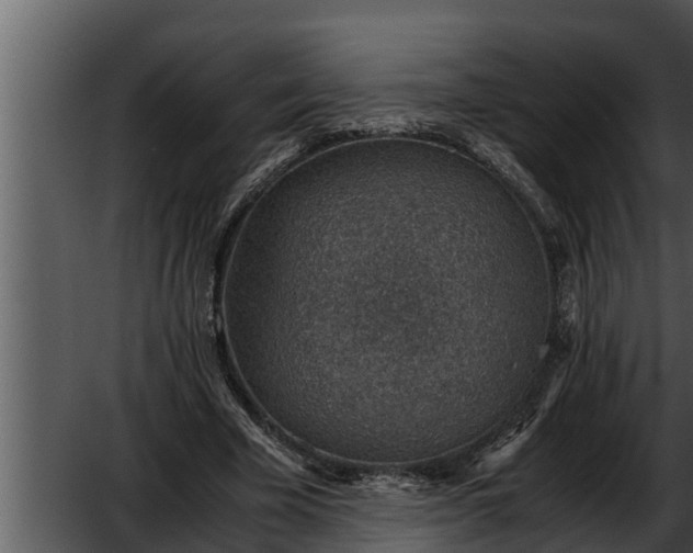 X0000052600585200507160013