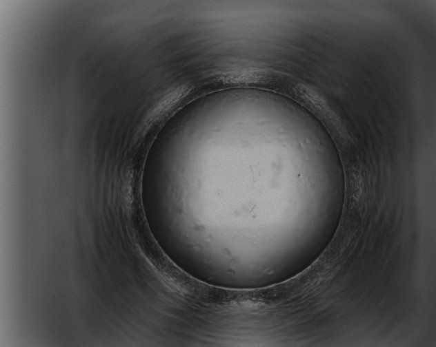 X0000052600586200507160013