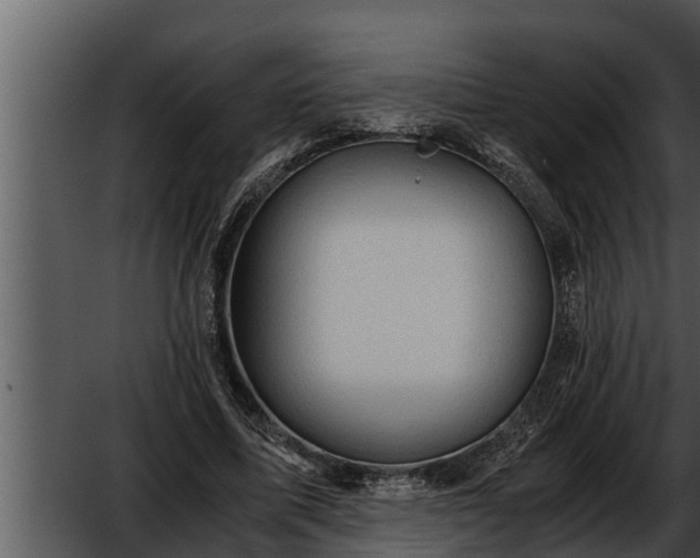 X0000052600587200507160013