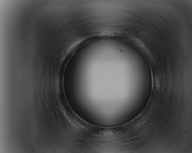 X0000052600588200507160013