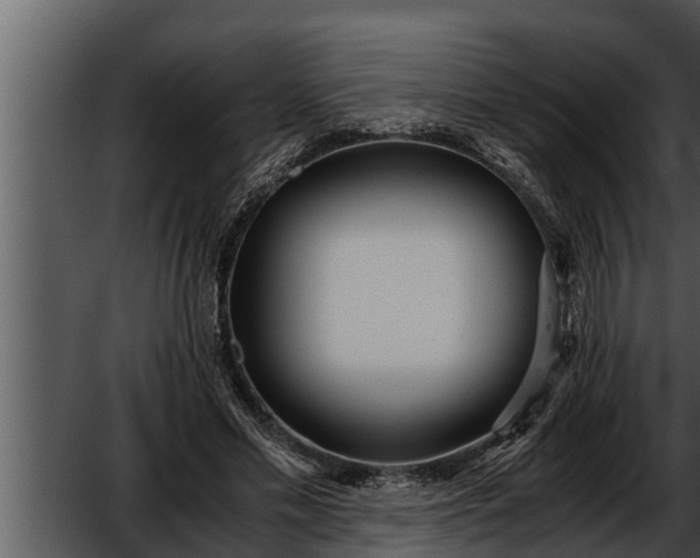 X0000052600589200507160013