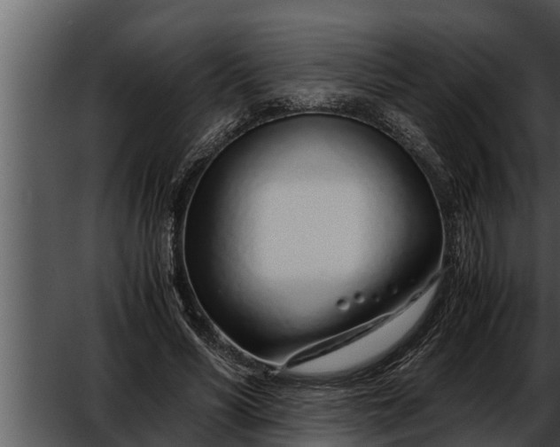 X0000052600590200507160013