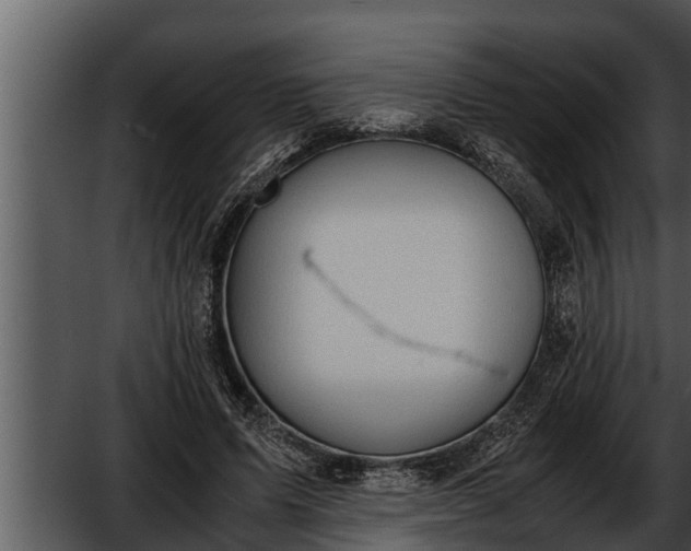 X0000052600591200507160013