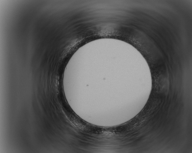 X0000052600592200507160013