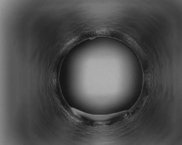 X0000052600593200507160013