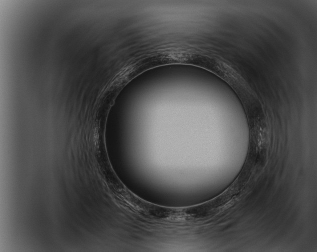 X0000052600595200507160013