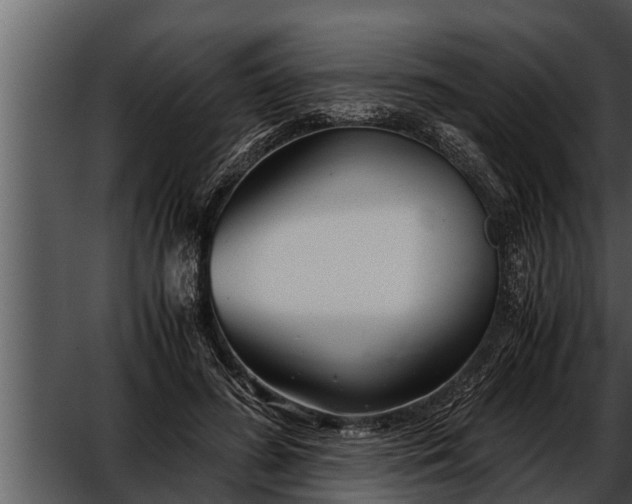 X0000052600596200507160013